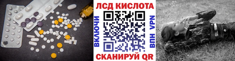 darknet клад  KRAKEN ТОР  Темников  магазин  наркотиков  ЛСД экстази ecstasy 